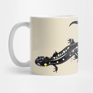 Spotted salamander art with scientific name Mug